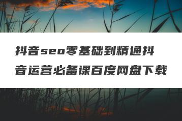抖音seo零基础到精通抖音运营必备课百度网盘下载