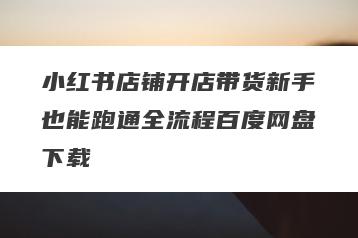 小红书店铺开店带货新手也能跑通全流程百度网盘下载