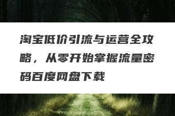 淘宝低价引流与运营全攻略，从零开始掌握流量密码百度网盘下载
