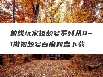 前线玩家视频号系列从0~1做视频号百度网盘下载