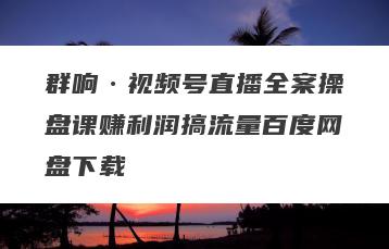 群响·视频号直播全案操盘课赚利润搞流量百度网盘下载