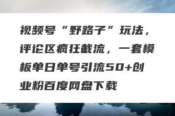 视频号“野路子”玩法，评论区疯狂截流，一套模板单日单号引流50+创业粉百度网盘下载