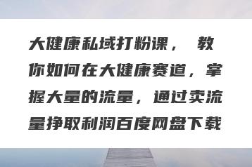 大健康私域打粉课，​教你如何在大健康赛道，掌握大量的流量，通过卖流量挣取利润百度网盘下载