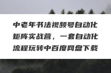 中老年书法视频号自动化矩阵实战营，一套自动化流程玩转中百度网盘下载