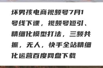 坏男孩电商视频号7月1号线下课，视频号短引、精细化模型打法，三频共振，无人，快手全站精细化运营百度网盘下载