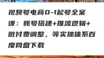 视频号电商0-1起号全案课：账号搭建+推流逻辑+微付费调整，等实操体系百度网盘下载
