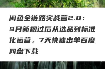 闲鱼全链路实战营2.0：9月新规过后从选品到标准化运营，7天快速出单百度网盘下载