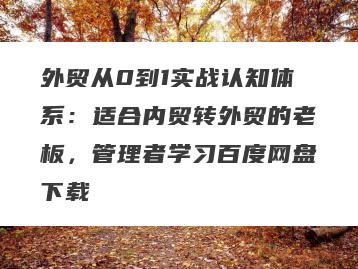 外贸从0到1实战认知体系：适合内贸转外贸的老板，管理者学习百度网盘下载