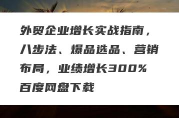 外贸企业增长实战指南，八步法、爆品选品、营销布局，业绩增长300%百度网盘下载
