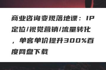 商业咨询变现落地课：IP定位/视觉营销/流量转化，单客单价提升300%百度网盘下载