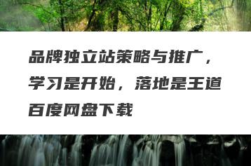 品牌独立站策略与推广，学习是开始，落地是王道百度网盘下载