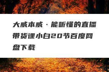 大威本威·能听懂的直播带货课小白20节百度网盘下载