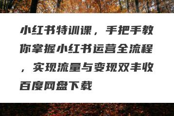 小红书特训课，手把手教你掌握小红书运营全流程，实现流量与变现双丰收百度网盘下载