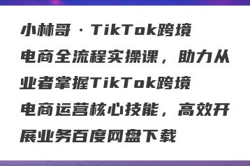 小林哥·TikTok跨境电商全流程实操课，助力从业者掌握TikTok跨境电商运营核心技能，高效开展业务百度网盘下载