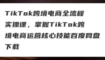 TikTok跨境电商全流程实操课，掌握TikTok跨境电商运营核心技能百度网盘下载
