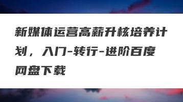 新媒体运营高薪升核培养计划,入门-转行-进阶百度网盘下载