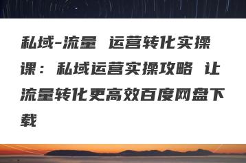私域-流量 运营转化实操课：私域运营实操攻略 让流量转化更高效百度网盘下载
