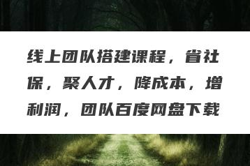 线上团队搭建课程，省社保，聚人才，降成本，增利润，团队百度网盘下载
