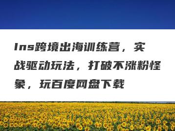 Ins跨境出海训练营，实战驱动玩法，打破不涨粉怪象，玩百度网盘下载