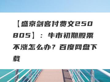 【盛京剑客付费文250805】：牛市初期股票不涨怎么办？百度网盘下载