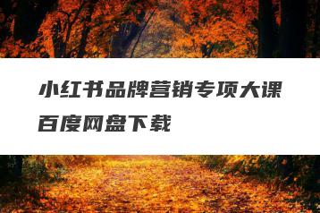 小红书品牌营销专项大课百度网盘下载