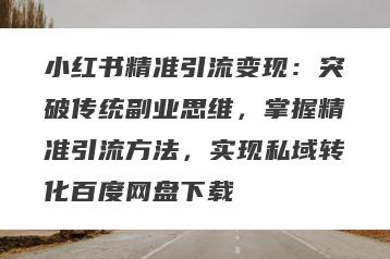 小红书精准引流变现：突破传统副业思维，掌握精准引流方法，实现私域转化百度网盘下载