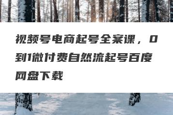 视频号电商起号全案课，0到1微付费自然流起号百度网盘下载