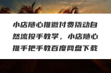 小店随心推微付费撬动自然流投手教学，小店随心推手把手教百度网盘下载
