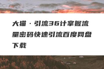 大猫·引流36计掌握流量密码快速引流百度网盘下载