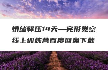 情绪释压14天—完形觉察线上训练营百度网盘下载