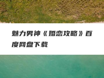 魅力男神《婚恋攻略》百度网盘下载