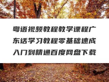 粤语视频教程教学课程广东话学习教程零基础速成入门到精通百度网盘下载