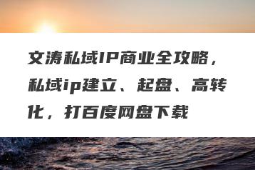 文涛私域IP商业全攻略，私域ip建立、起盘、高转化，打百度网盘下载