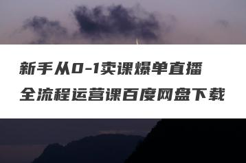 新手从0-1卖课爆单直播全流程运营课百度网盘下载