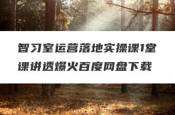 智习室运营落地实操课1堂课讲透爆火百度网盘下载