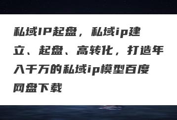 私域IP起盘，私域ip建立、起盘、高转化，打造年入千万的私域ip模型百度网盘下载