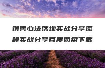 销售心法落地实战分享流程实战分享百度网盘下载