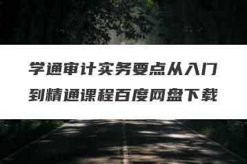 学通审计实务要点从入门到精通课程百度网盘下载