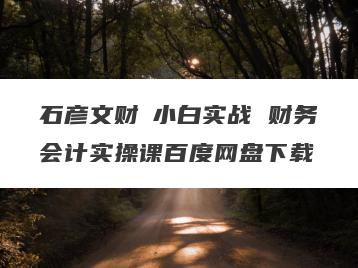 石彦文财稅小白实战 财务会计实操课百度网盘下载