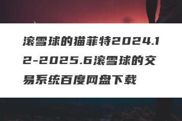 滚雪球的猫菲特2024.12-2025.6滚雪球的交易系统百度网盘下载