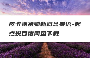 皮卡褚褚帅新概念英语-起点班百度网盘下载