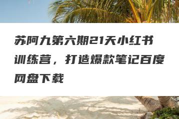 苏阿九第六期21天小红书训练营，打造爆款笔记百度网盘下载