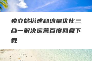 独立站搭建和流量优化三合一解决运营百度网盘下载