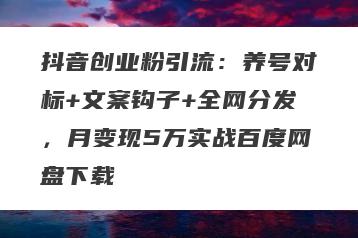抖音创业粉引流:养号对标+文案钩子+全网分发,月变现5万实战百度网盘下载