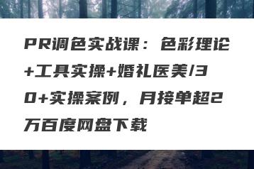 PR调色实战课：色彩理论+工具实操+婚礼医美/30+实操案例，月接单超2万百度网盘下载