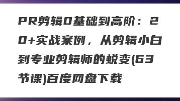 PR剪辑0基础到高阶：20+实战案例，从剪辑小白到专业剪辑师的蜕变(63节课)百度网盘下载