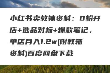 小红书卖教辅资料:0粉开店+选品对标+爆款笔记,单店月入1.2w(附教辅资料)百度网盘下载