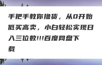 手把手教你撸货，从0开始低买高卖，小白轻松实现日入三位数!!!百度网盘下载