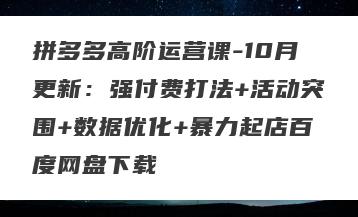 拼多多高阶运营课-10月更新：强付费打法+活动突围+数据优化+暴力起店百度网盘下载