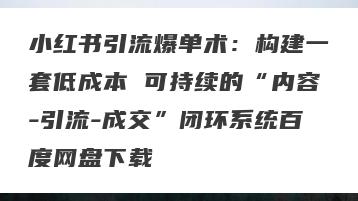 小红书引流爆单术：构建一套低成本 可持续的“内容-引流-成交”闭环系统百度网盘下载
